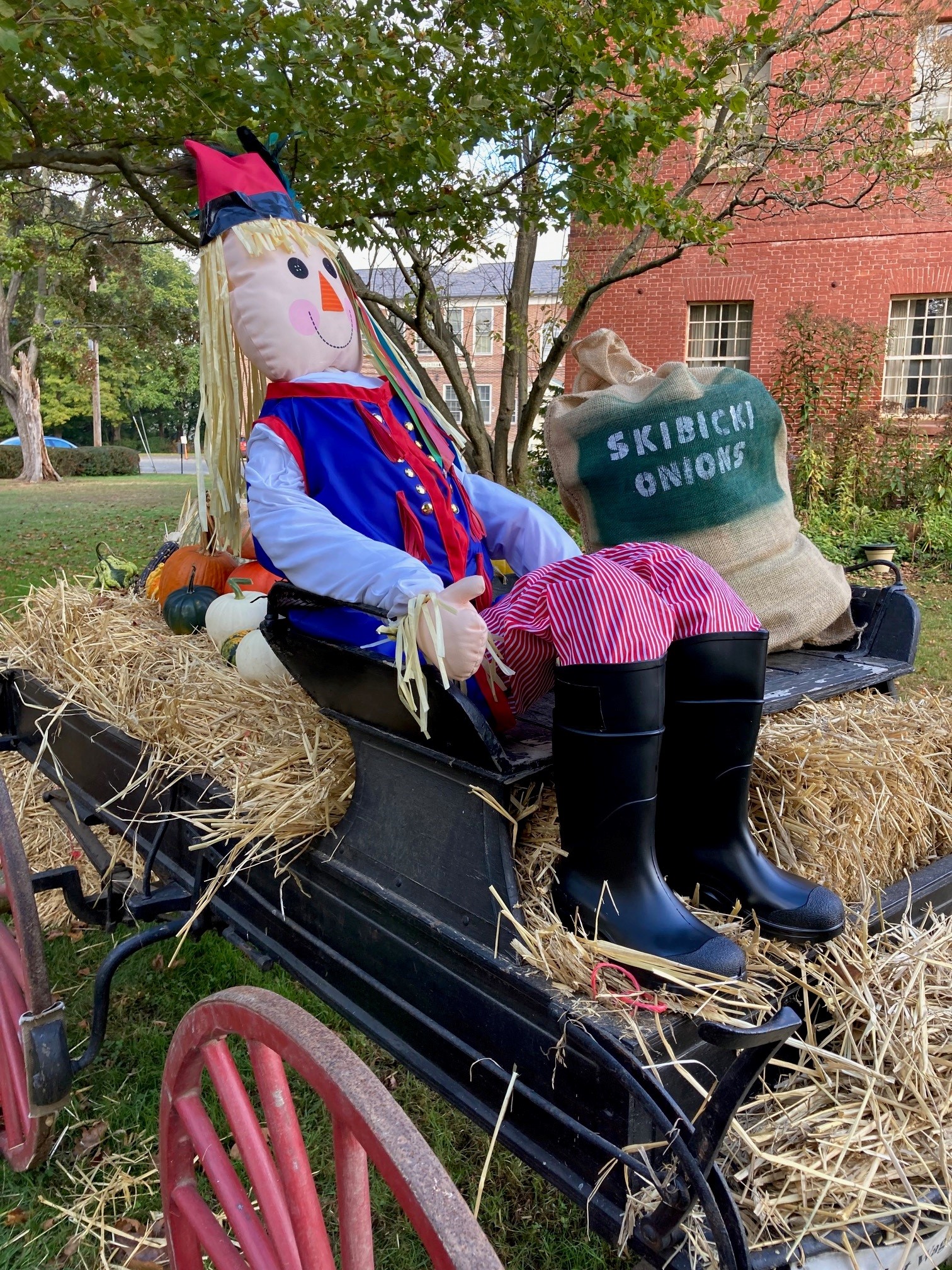 Market Wagon and Polish Scarecrow